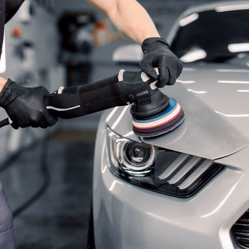 Havran Oto Pasta Cila